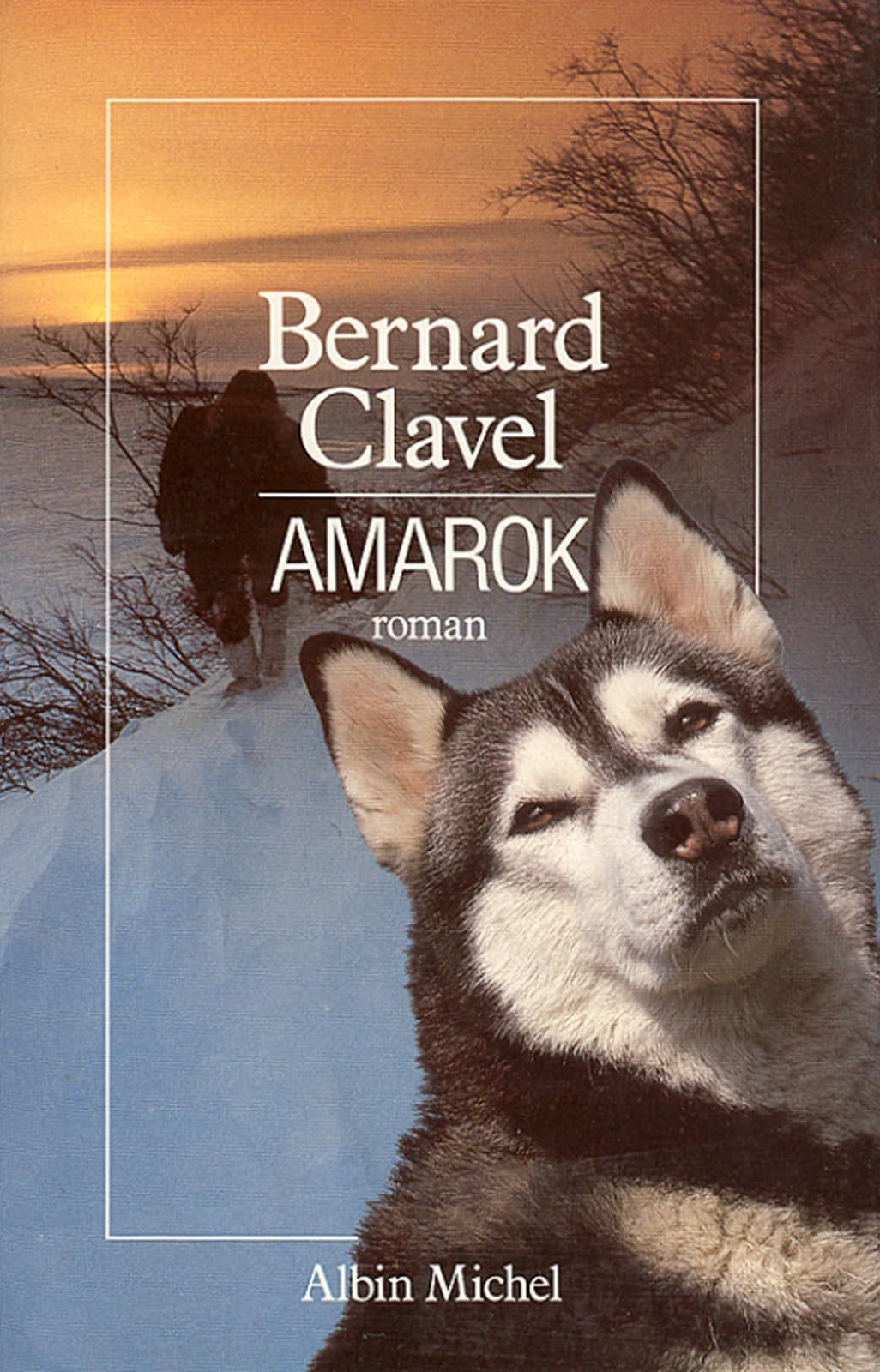 Amarok - Cover