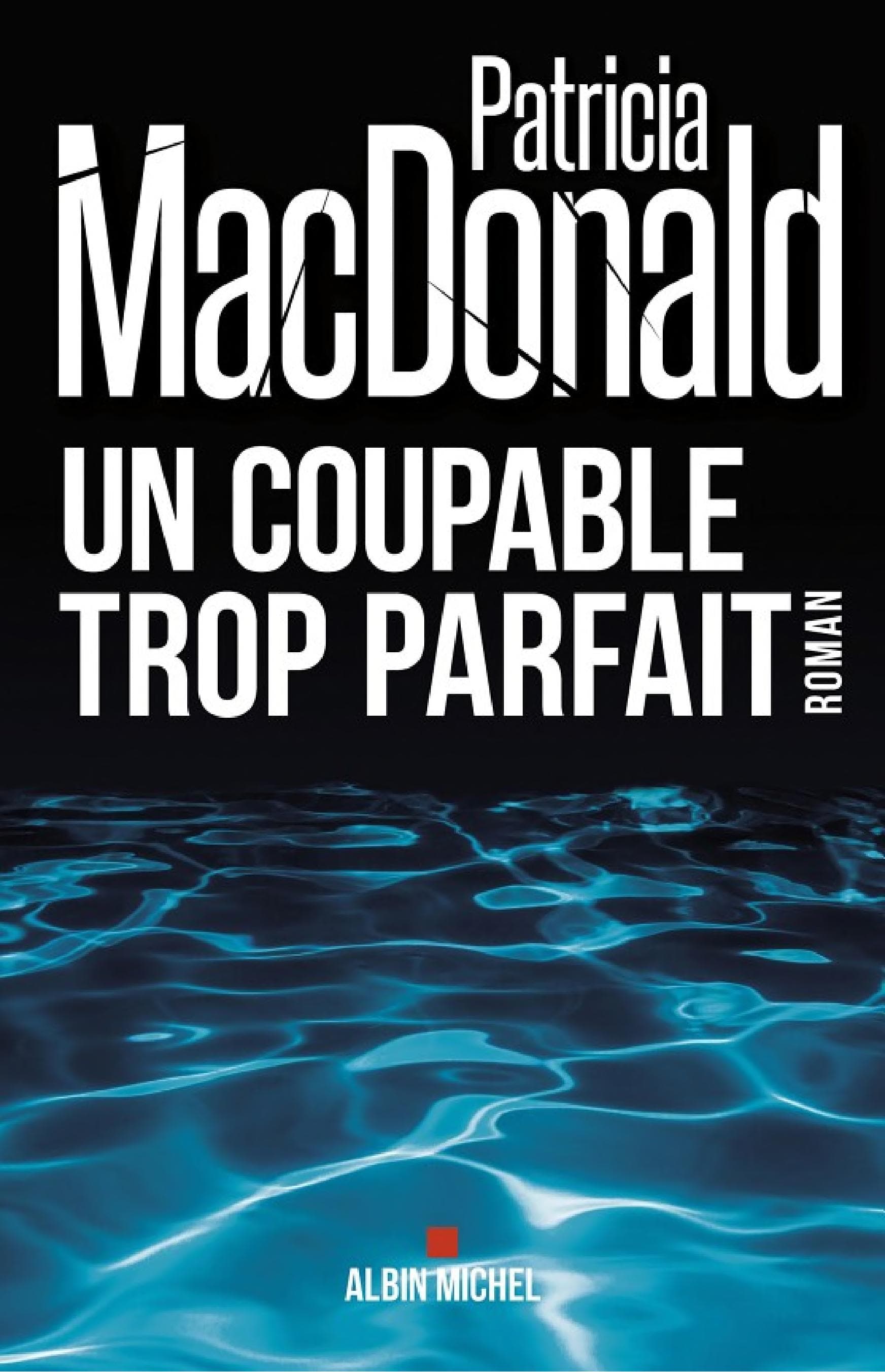 Un coupable trop parfait - Cover