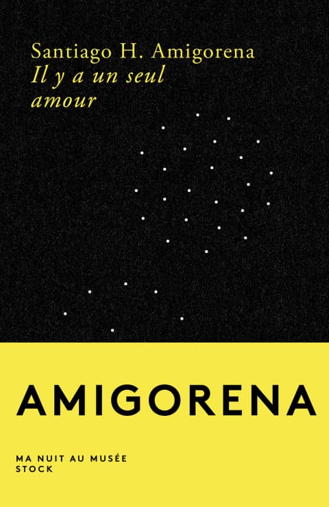 Il y a un seul amour - Cover