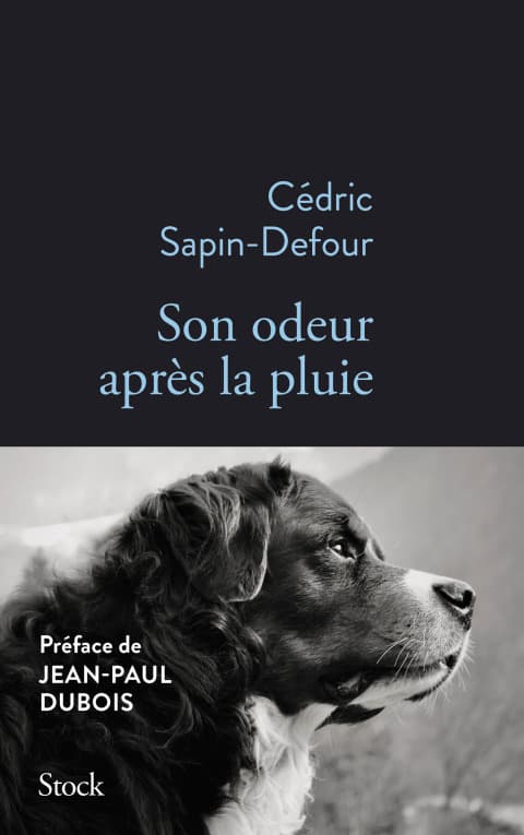 Son odeur après la pluie - Cover