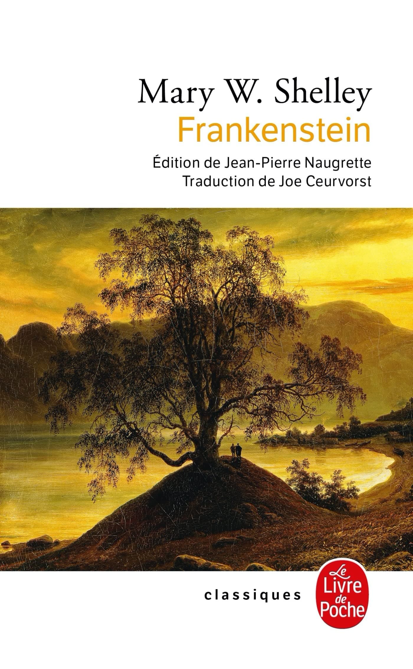 Frankenstein ou le Prométhée moderne - Cover