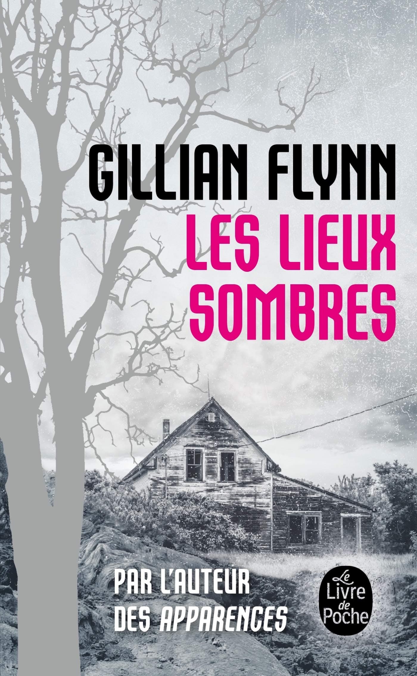 Les lieux sombres - Cover