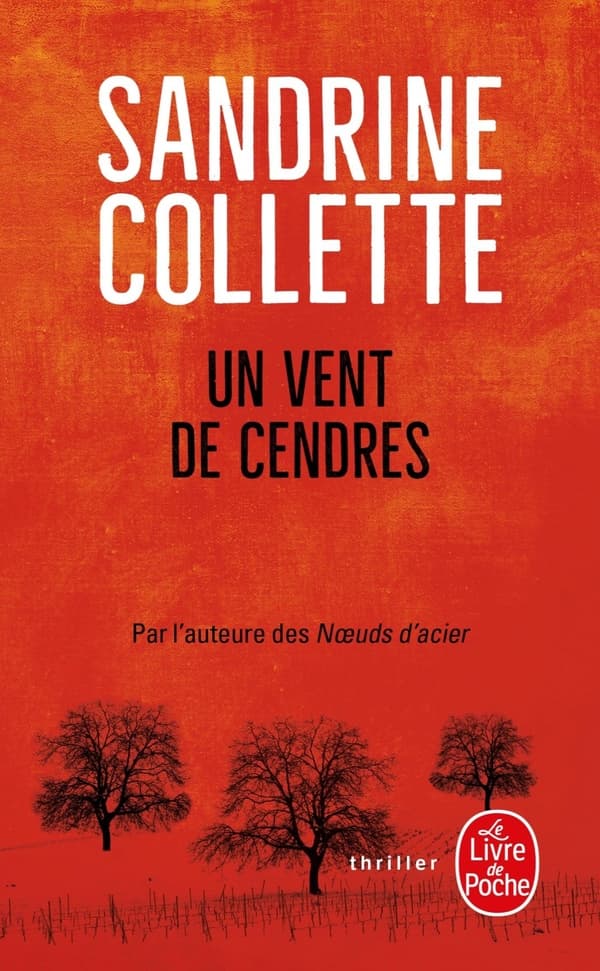 Un vent de cendres - Cover