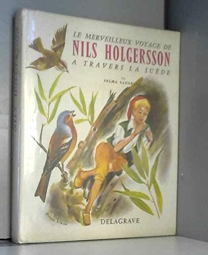 Le Merveilleux Voyage De Nils Holgersson À Travers La Suède