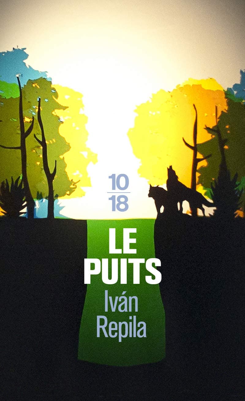 Le puits - Cover