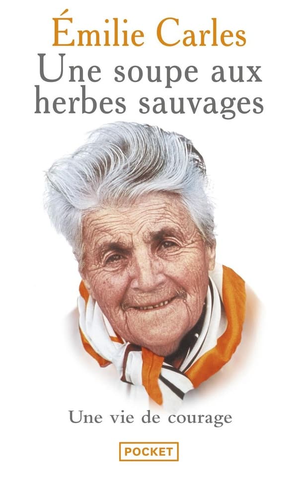 Une soupe aux herbes sauvages - Cover