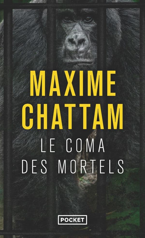 Le coma des mortels - Cover