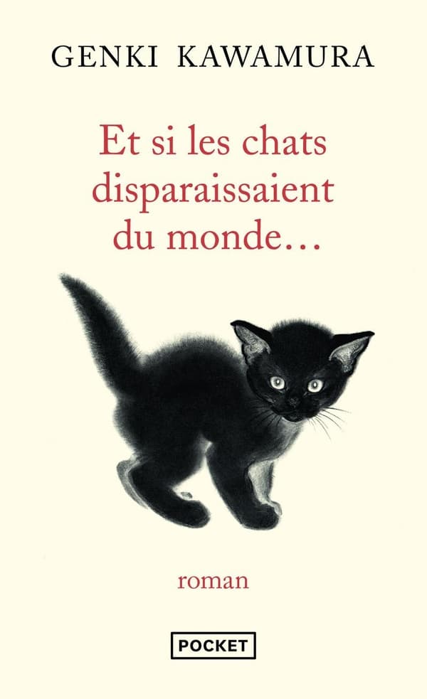 Et si les chats disparaissaient du monde... - Cover
