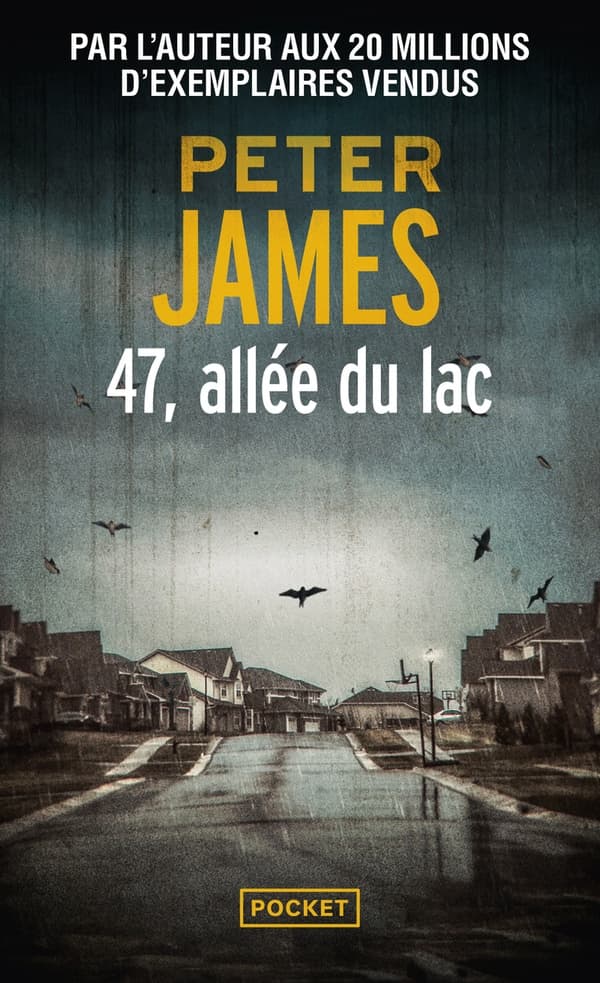 47, allée du lac - Cover