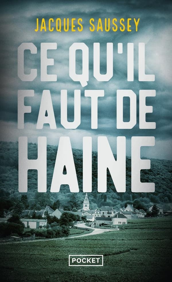 Ce qu'il faut de haine - Cover