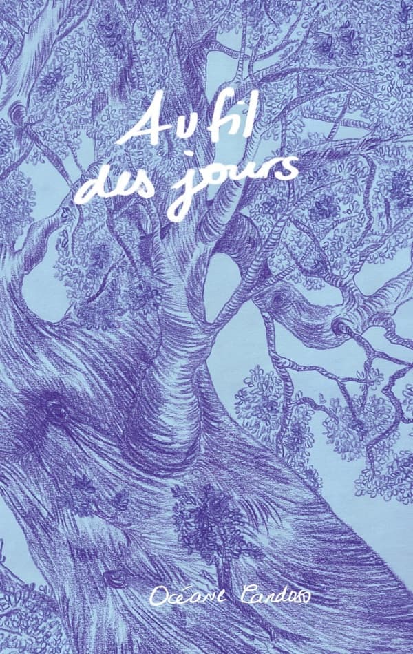 Au Fil Des Jours - Cover
