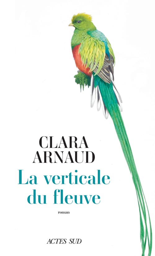 La Verticale du fleuve - Cover