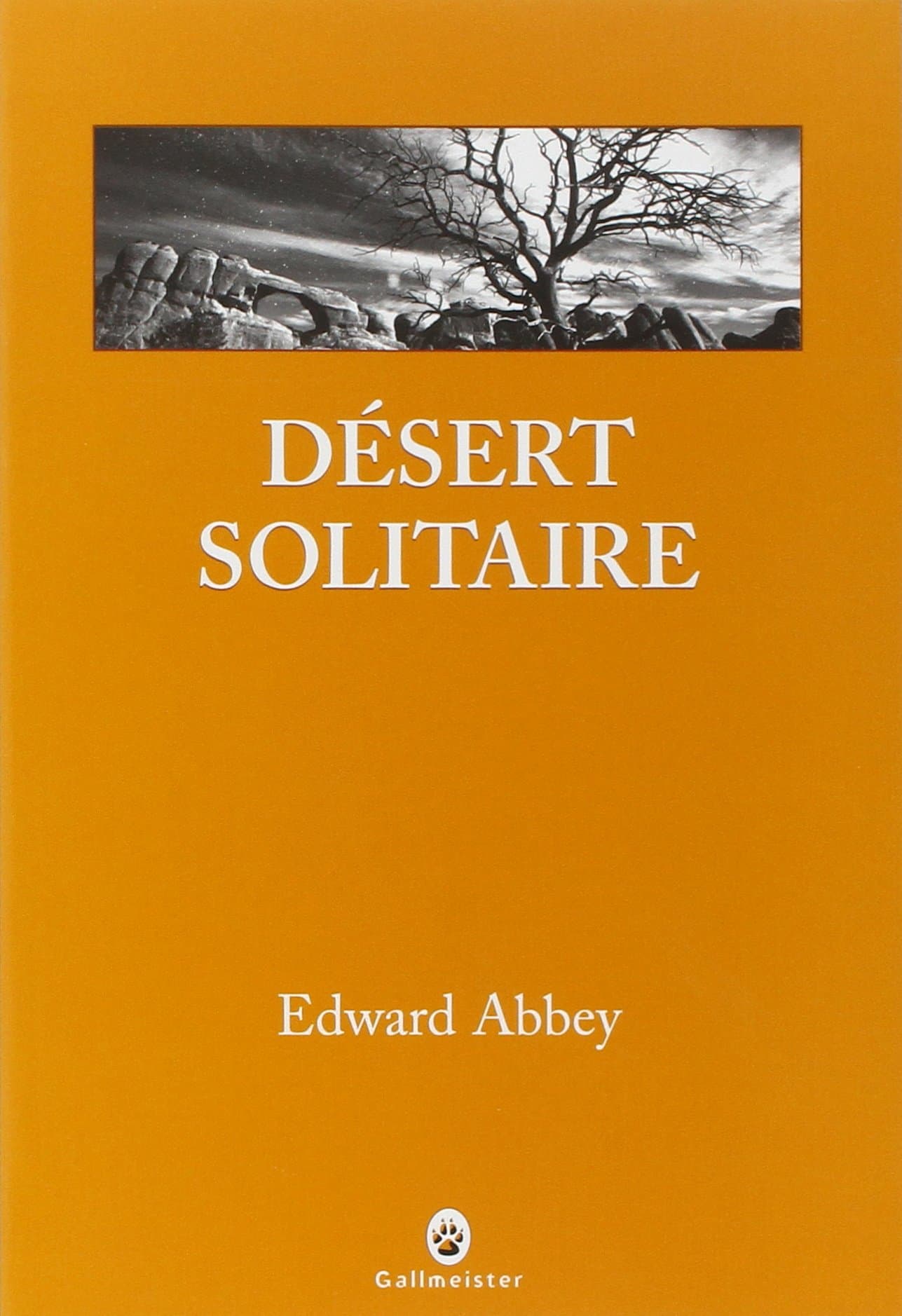 Désert solitaire - Cover