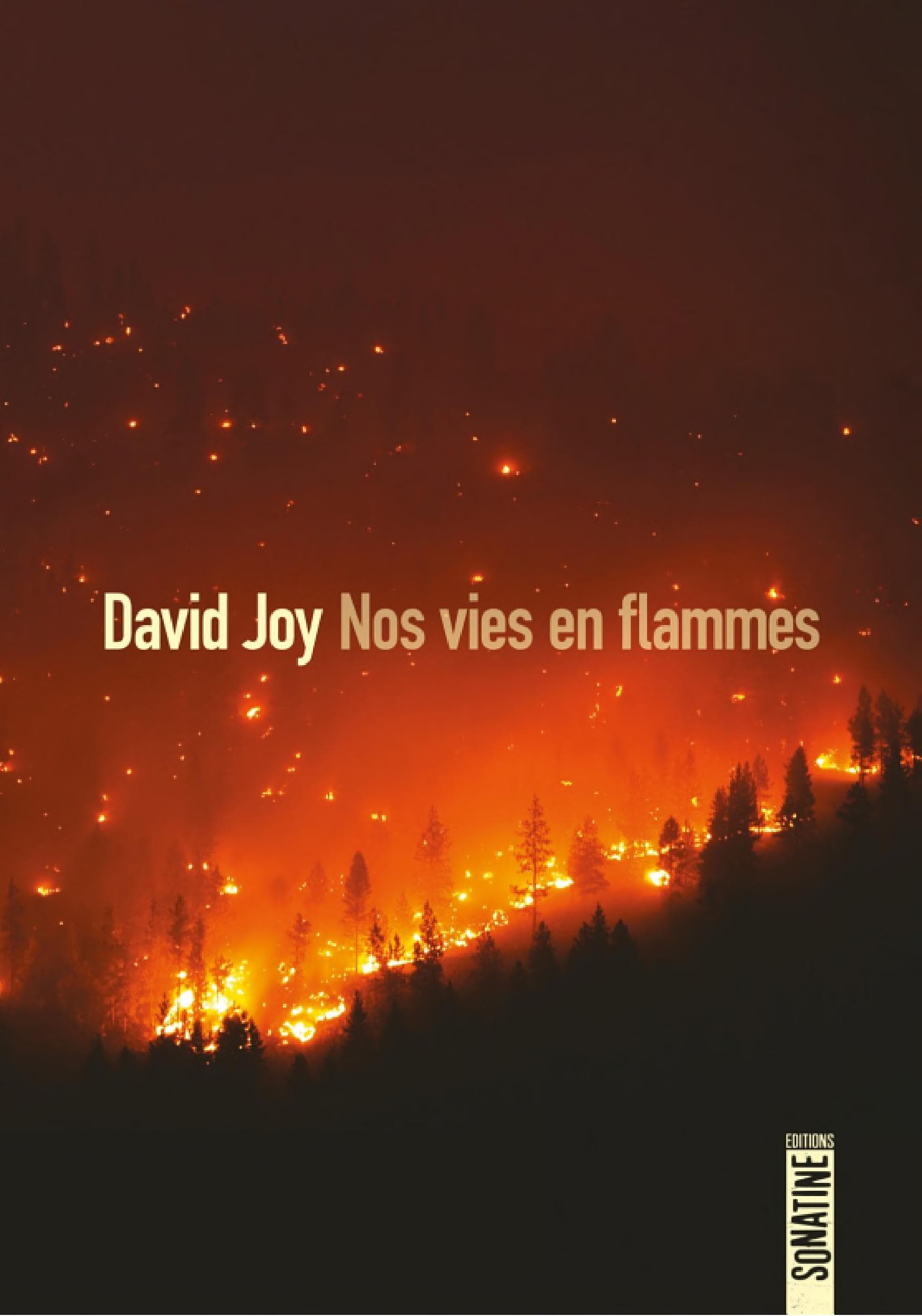 Nos vies en flammes - Cover
