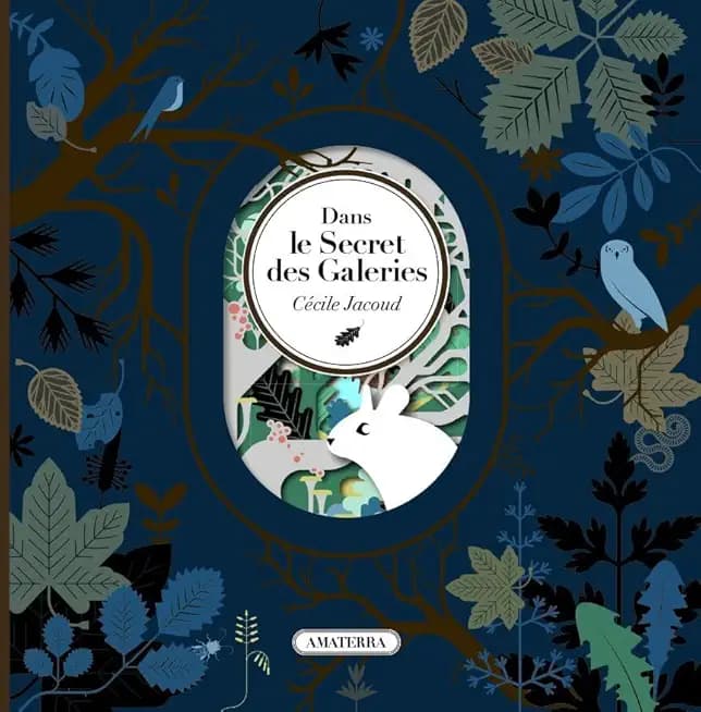 Dans le Secret des Galeries - Cover