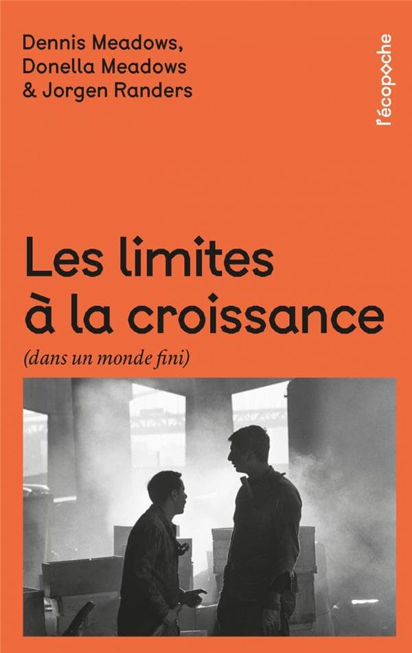 Les limites à la croissance (dans un monde fini)
