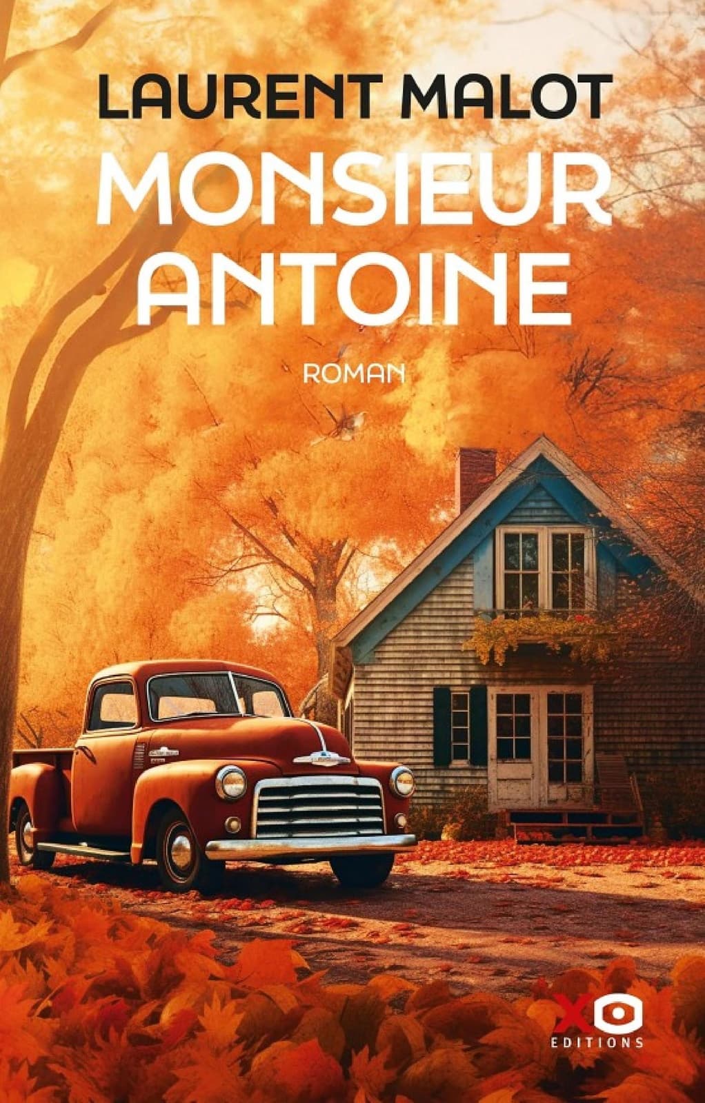 Monsieur Antoine - Cover