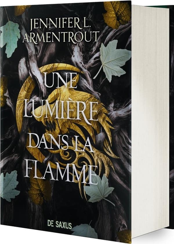 Une Lumière dans la flamme (relié collector) - Tome 02 La Chair et le Feu - Cover