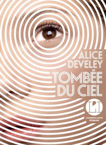Tombée du ciel - Cover
