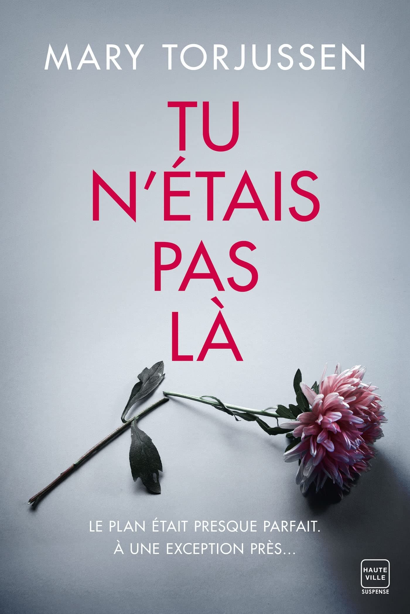 Tu n'étais pas là - Cover