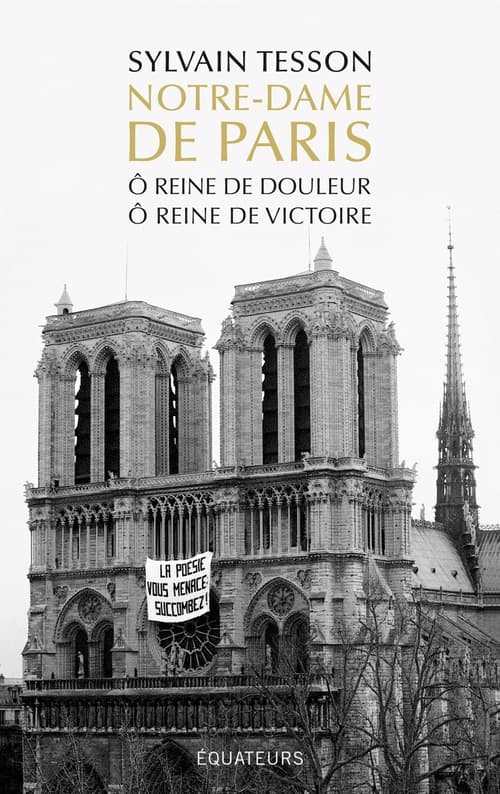 Notre-Dame de Paris - Ô reine de douleur, Ô reine de victoire - Cover