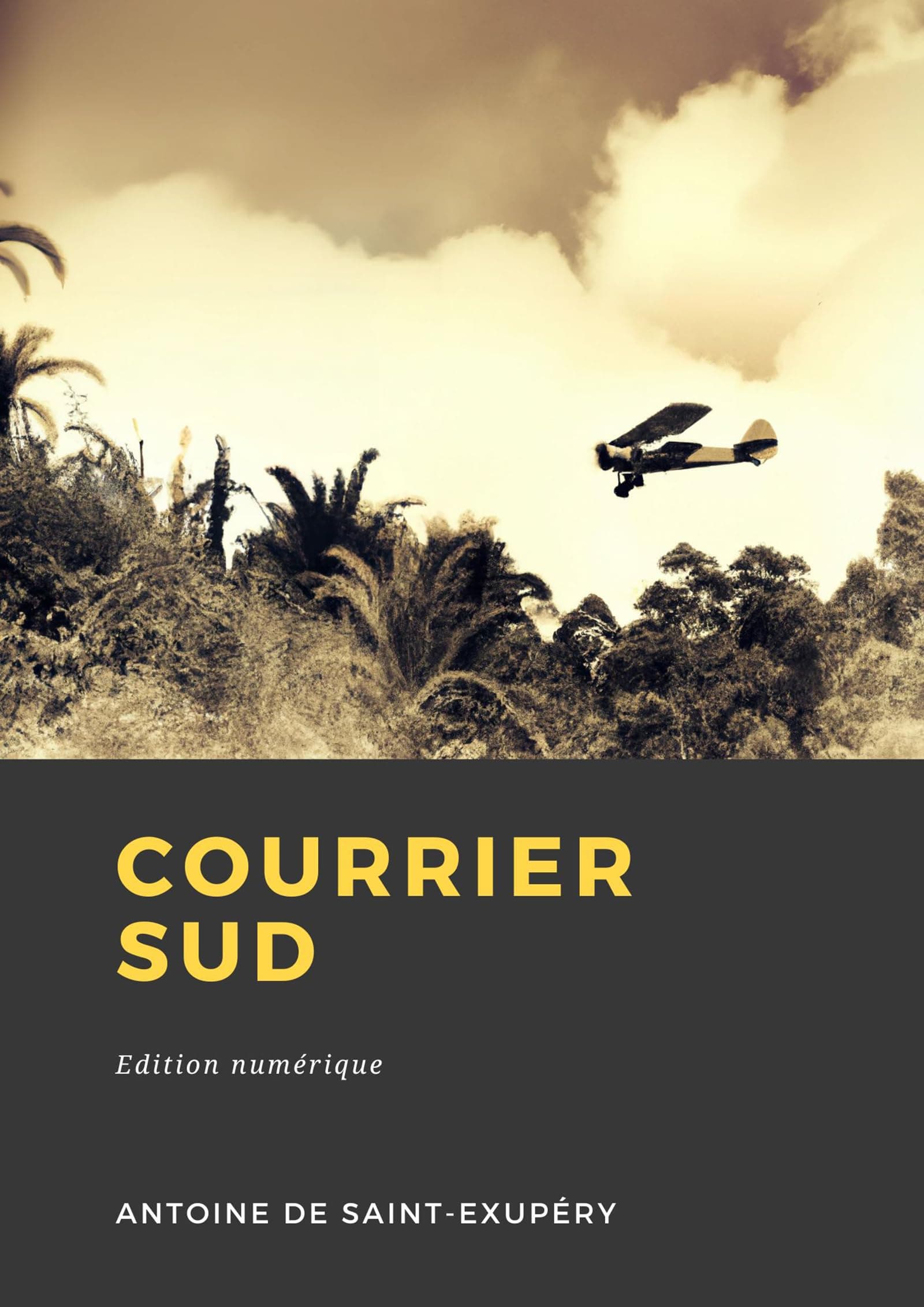 Courrier Sud - Cover