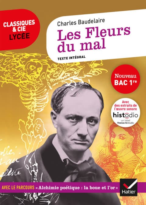 Les Fleurs du mal - Cover