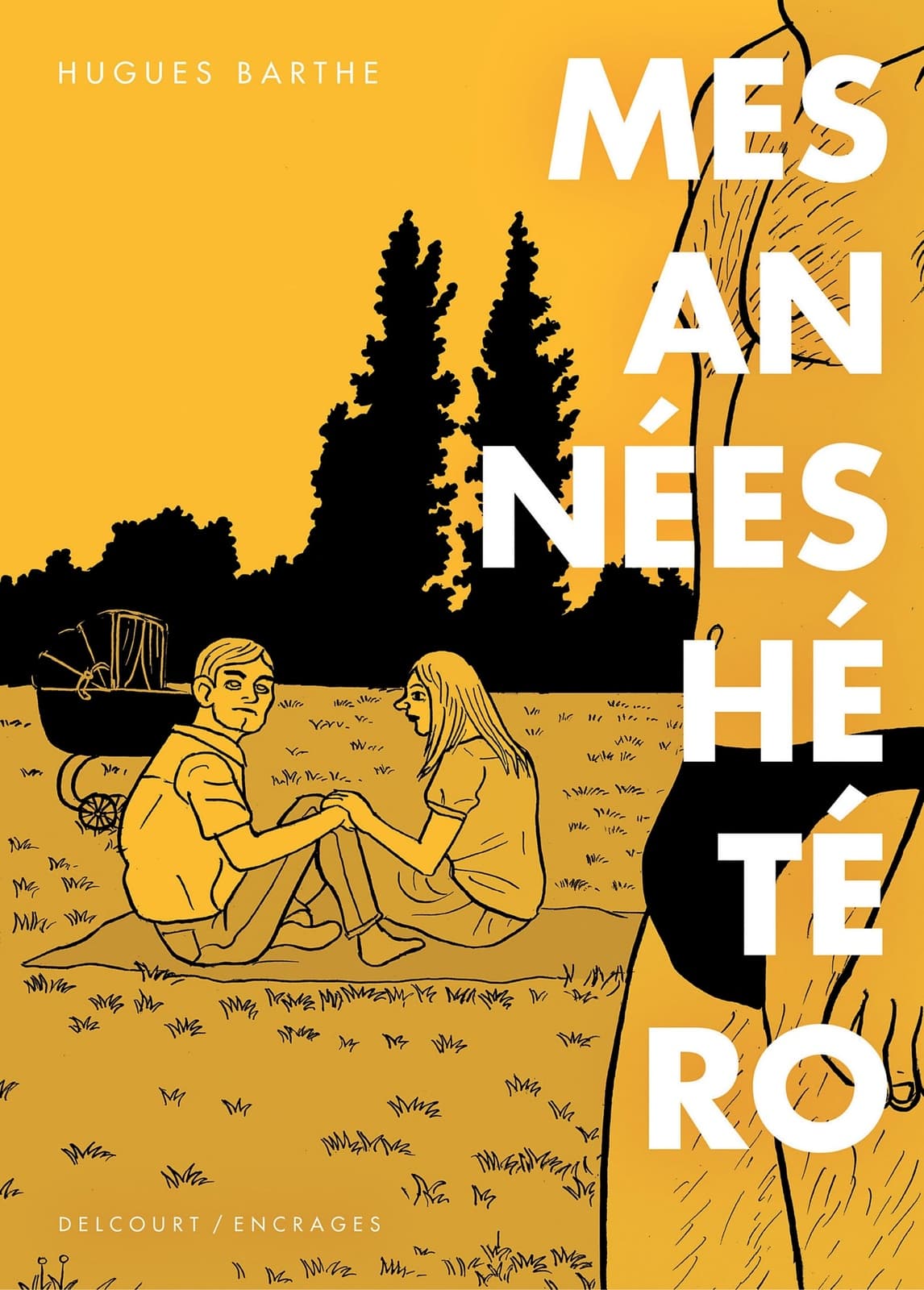 Mes années hétéro - Cover