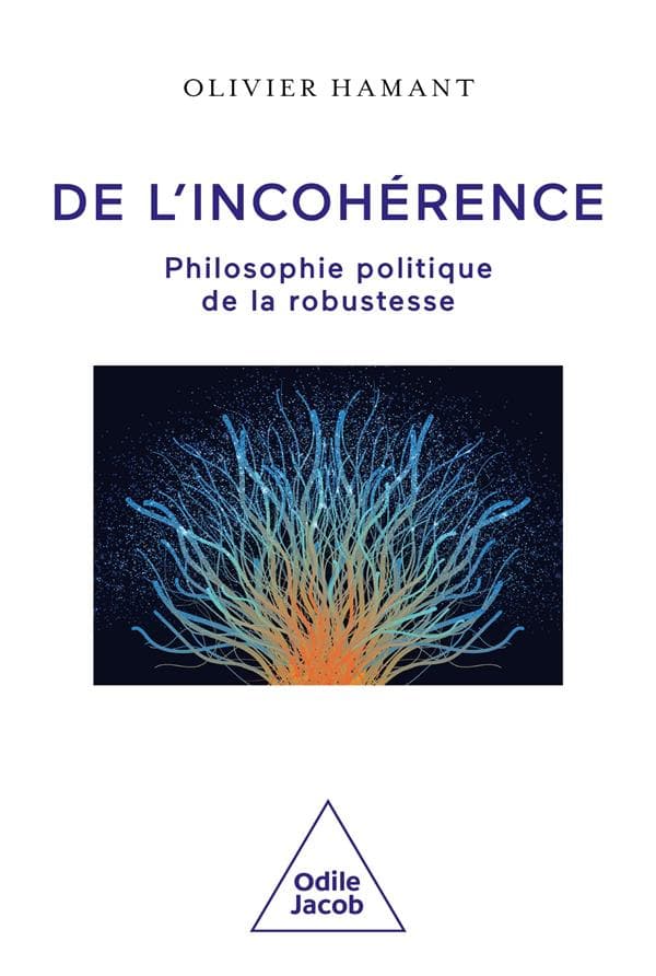 De l'incohérence - Cover