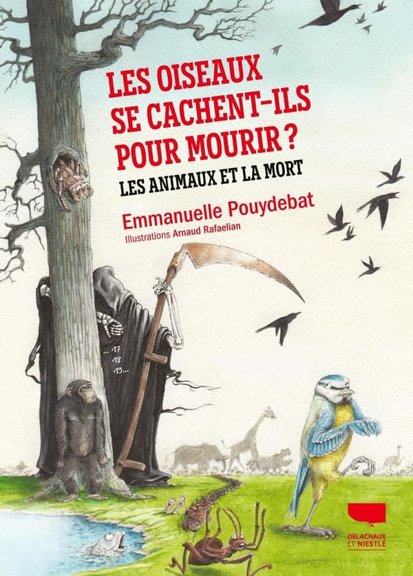 Les Oiseaux se cachent-ils pour mourir? - Cover