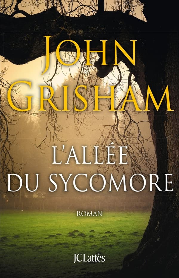 L'allée du sycomore - Cover