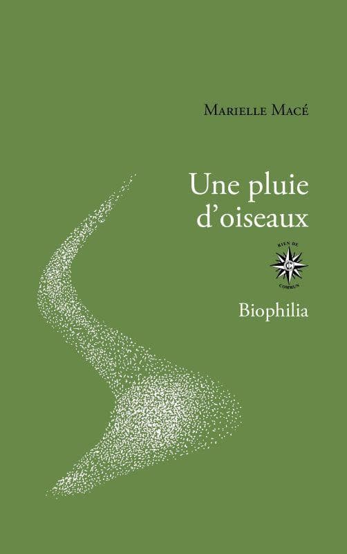Une pluie d'oiseaux - Cover