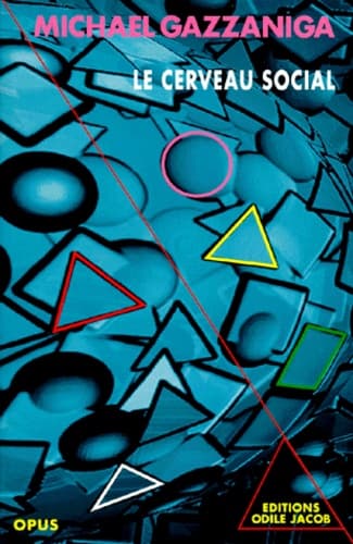 Le cerveau social - Cover