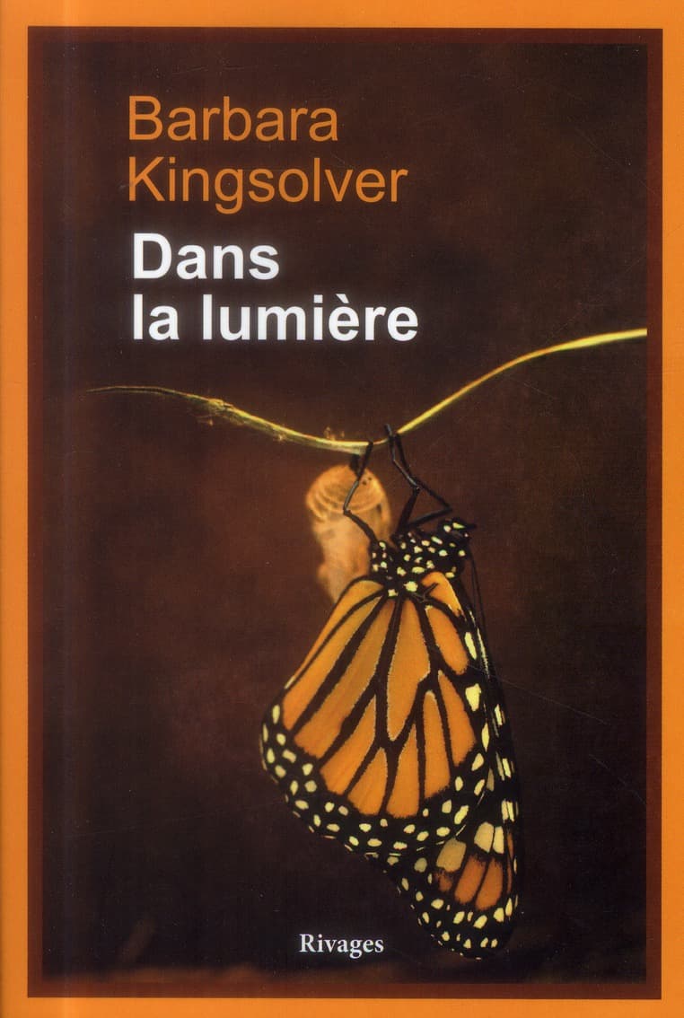 Dans la lumière