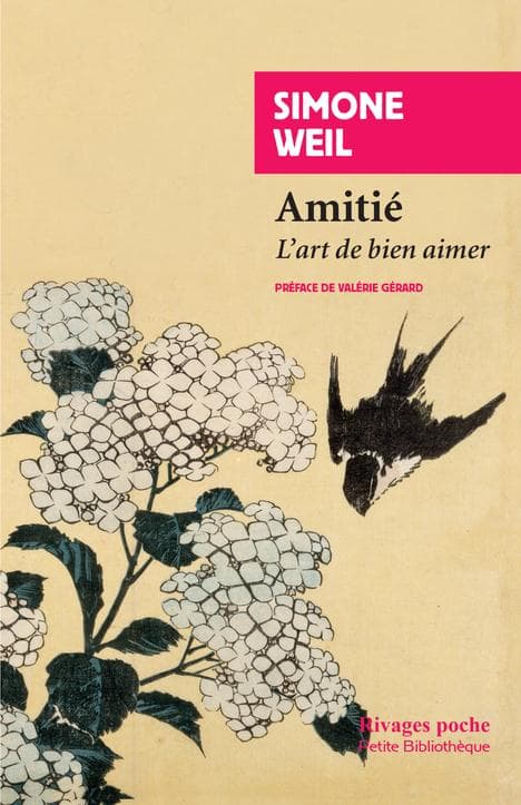 Amitié, l'art de bien aimer - Cover