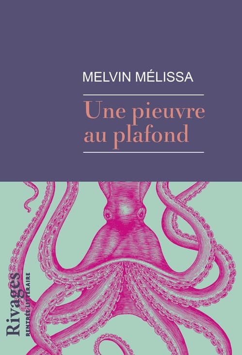Une pieuvre au plafond - Cover