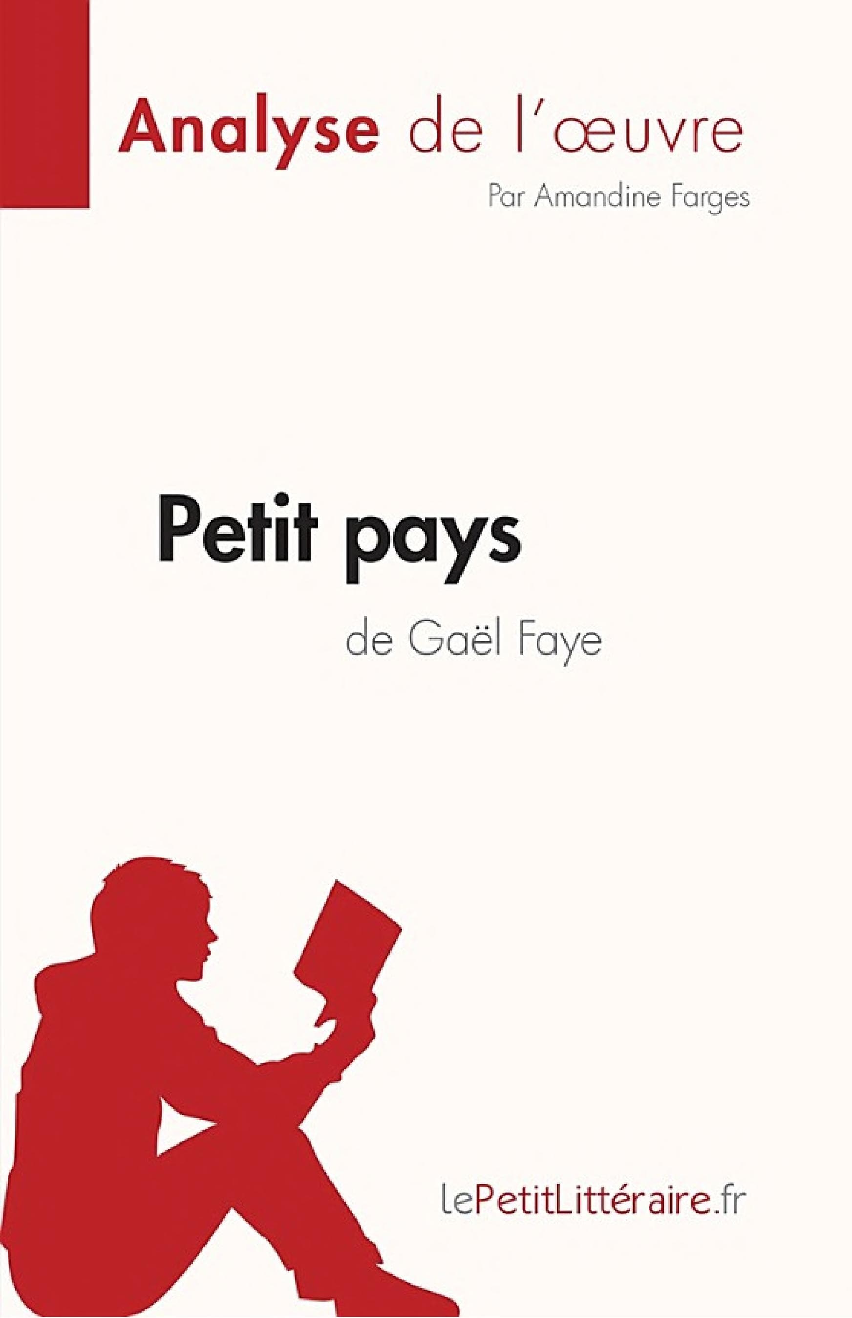 Petit pays de Gael Faye (Analyse de l'œuvre) - Cover