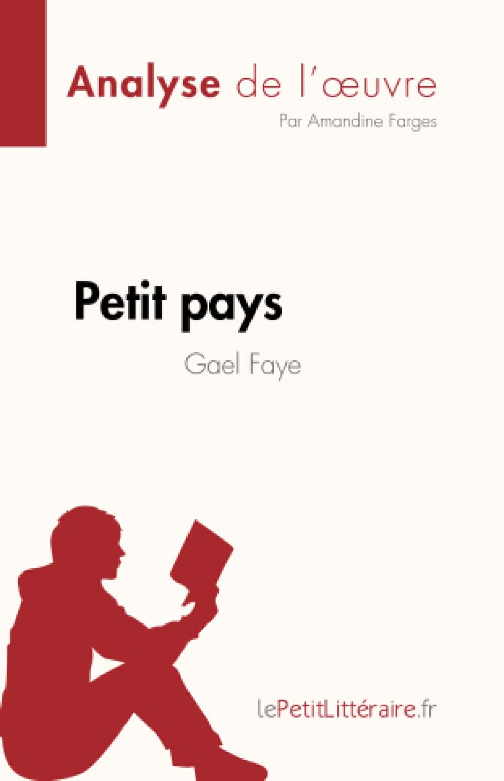 Petit pays de Gael Faye (Analyse de l'¿uvre)