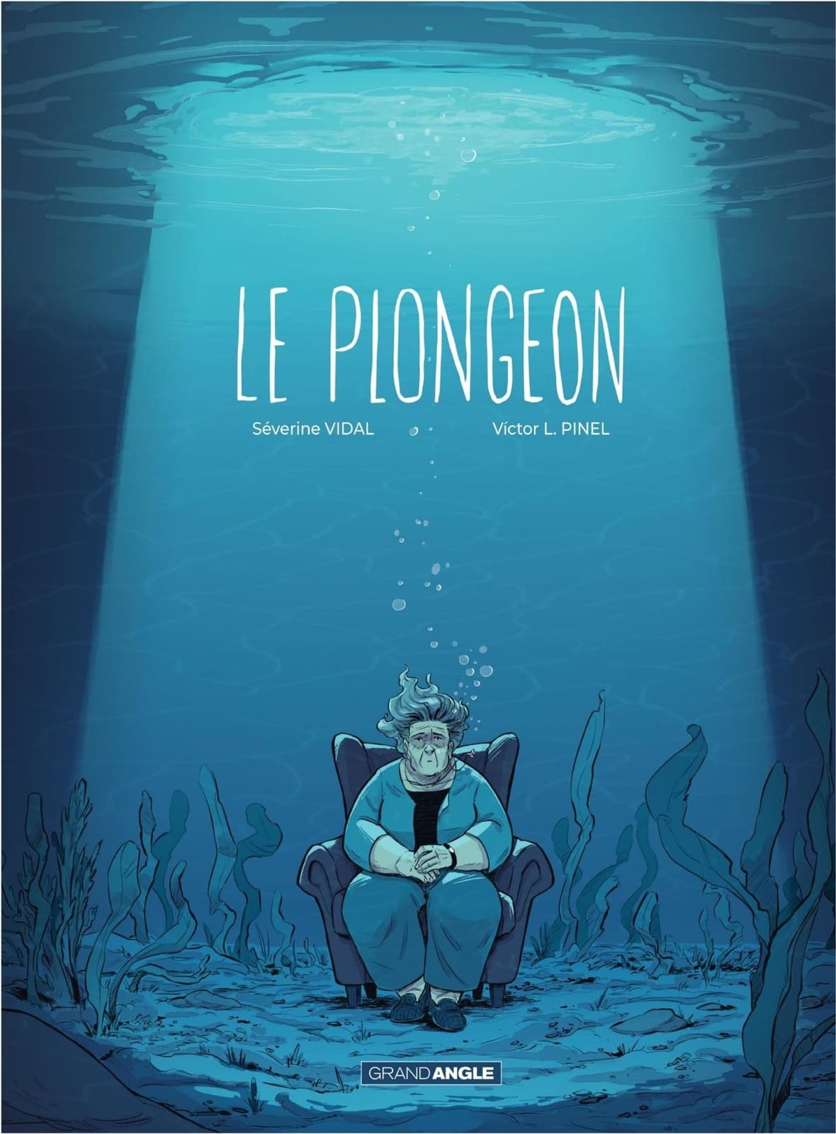 Le plongeon - Histoire complète - Cover