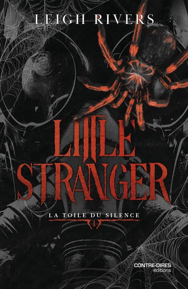 Little Stranger - Collection La toile du Silence - Cover
