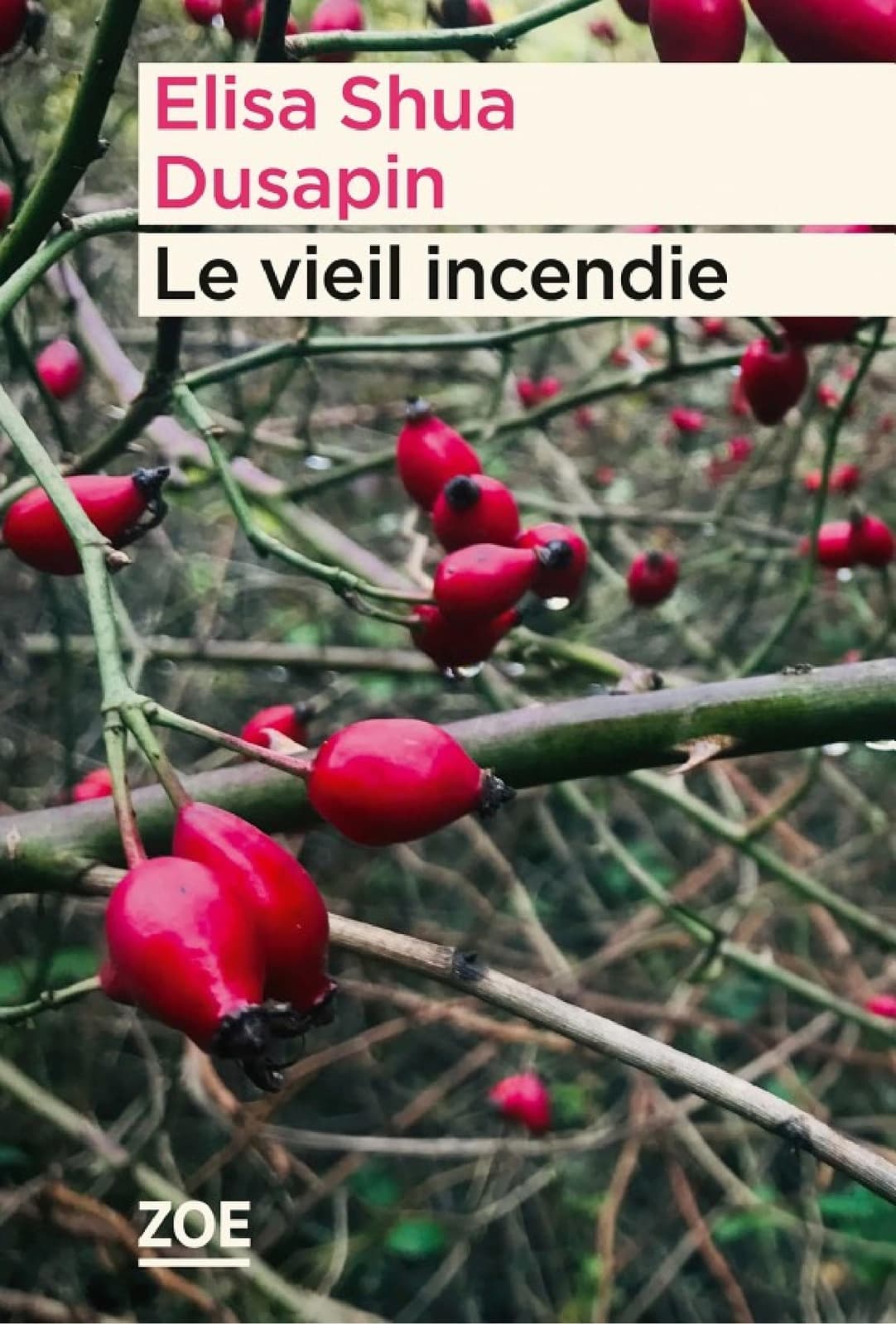 Le vieil incendie - Cover