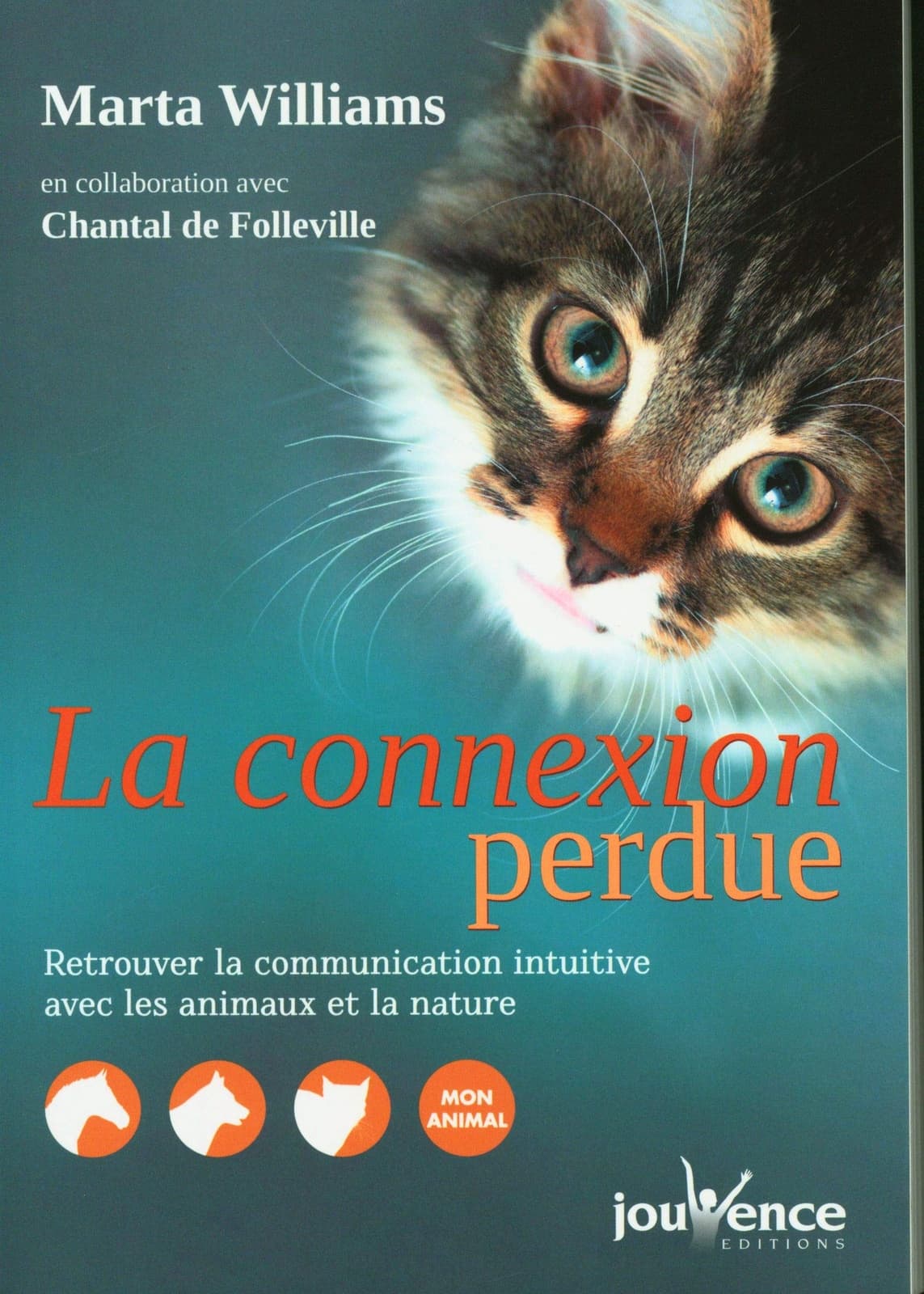 La connexion perdue - Cover