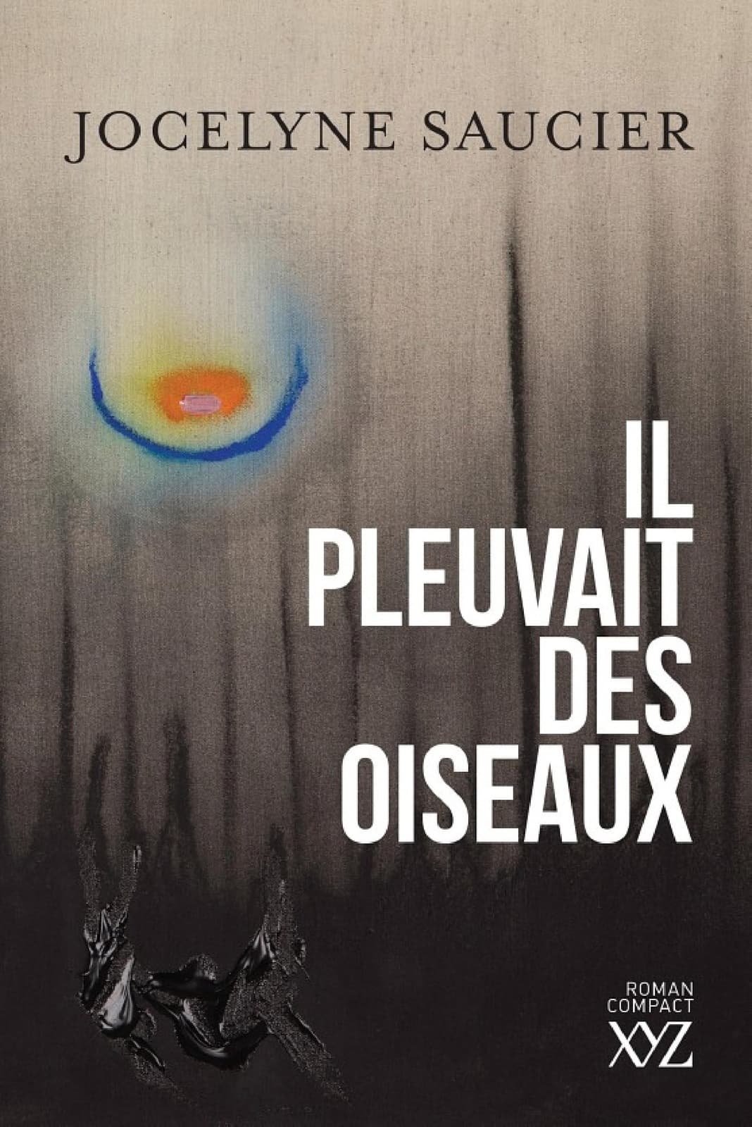 Il pleuvait des oiseaux - Cover