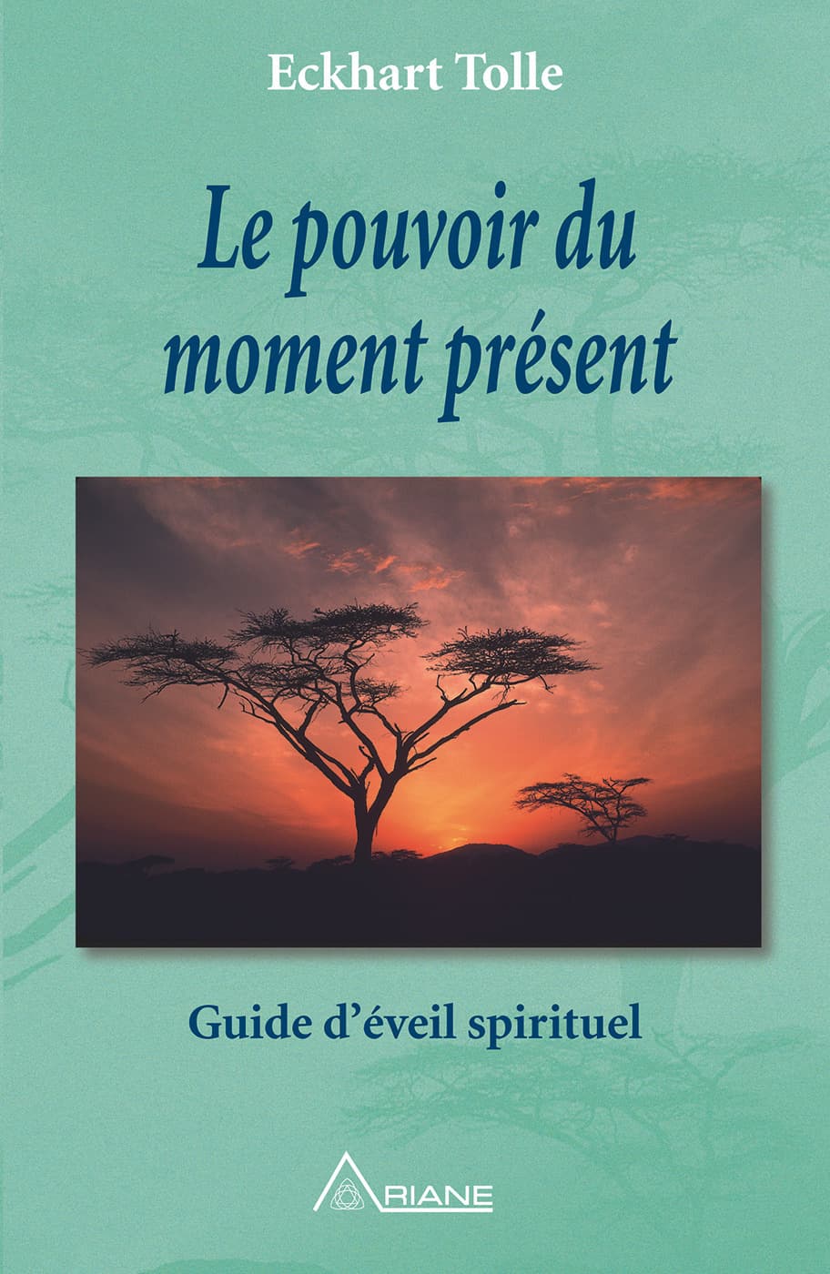 Le pouvoir du moment présent - Cover