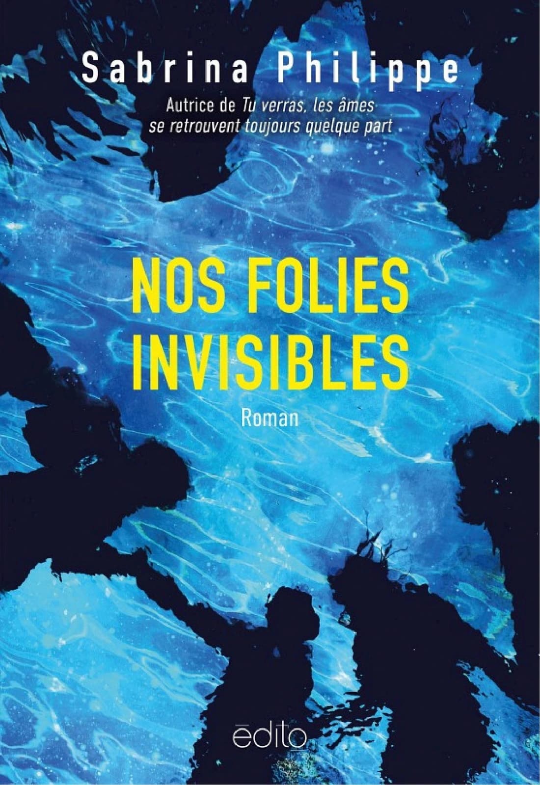 Nos folies invisibles - Cover