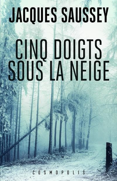 Cinq doigts sous la neige - Cover