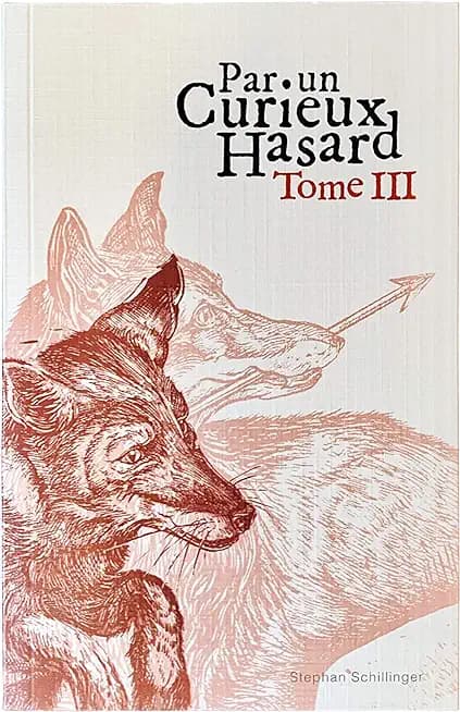 Par un curieux hasard - Cover