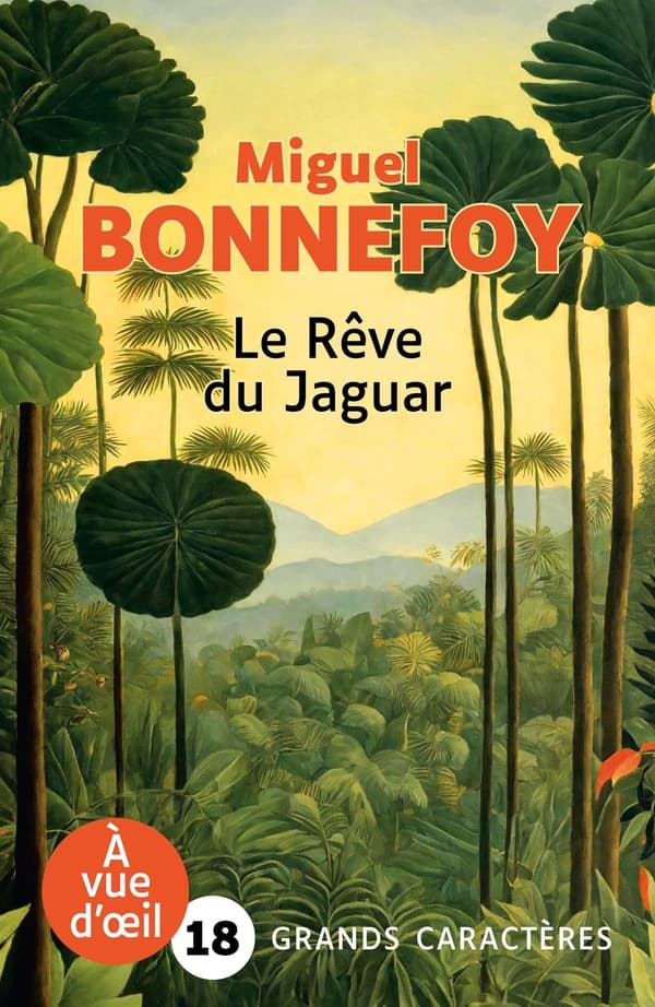Le rêve du jaguar - Cover