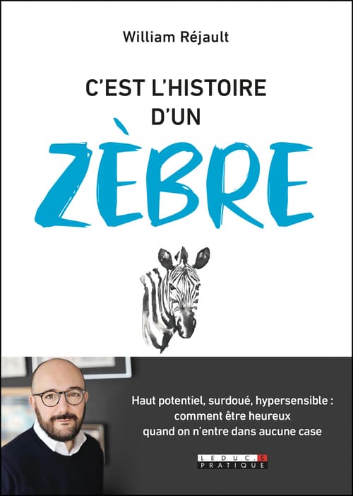 C'est l'histoire d'un zèbre - Cover