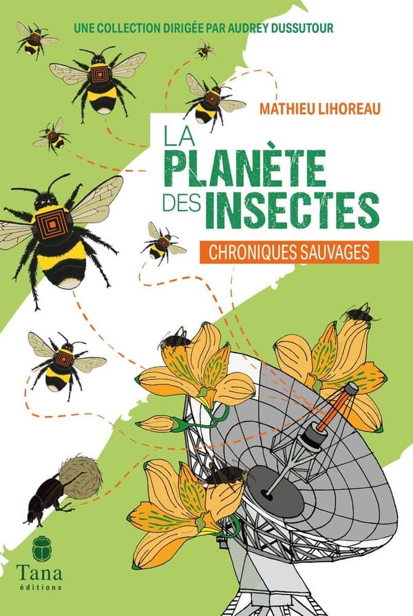 La planète des insectes - Cover